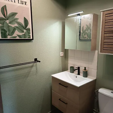 Apartament Grand 4 Couchages Proche Universite Et Chu *