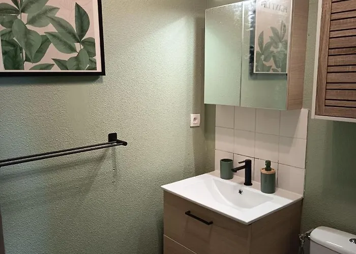 Appartement Grand 4 Couchages Proche Et Chu *