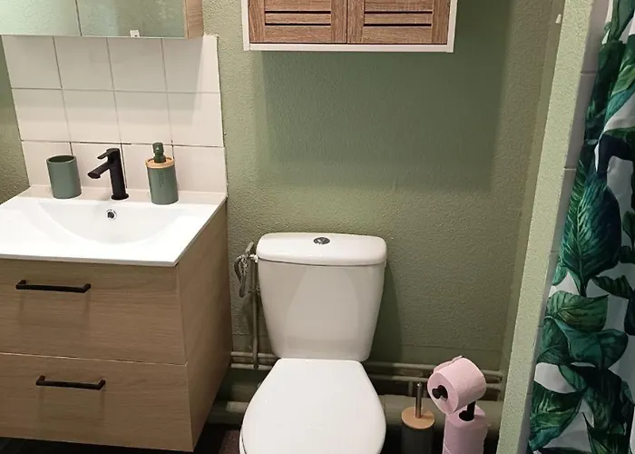 Grand 4 Couchages Proche Universite Et Chu Apartamento